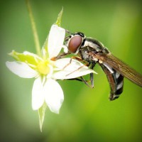 /album/super-filmes-hd80/photolia-a02-jpg/