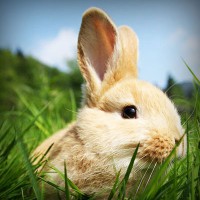 /album/super-filmes-hd80/photolia-a03-jpg/