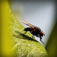 /album/super-filmes-hd80/photolia-a04-jpg/