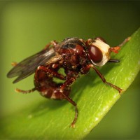 /album/super-filmes-hd80/photolia-a06-jpg/