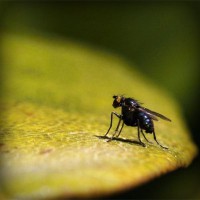 /album/super-filmes-hd80/photolia-a07-jpg/