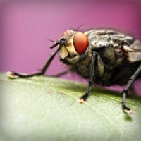 /album/super-filmes-hd80/photolia-a08-jpg/